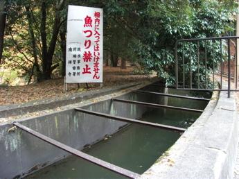 南禅寺・水路閣